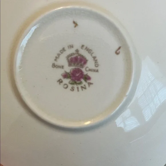 Piccadilly “Blossom Time, and Rosina-Floral Teacup and Saucer with Gold Trim